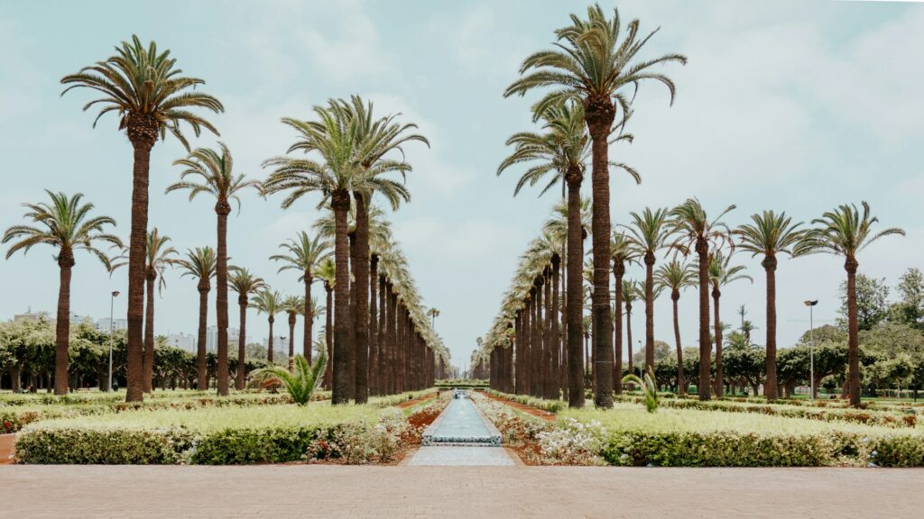 localize u8JqczGrTyo unsplash