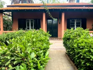 Belle maison à l'oasis 23 e15cecf6 2dfb 416f 949a 0e24b8d00b71